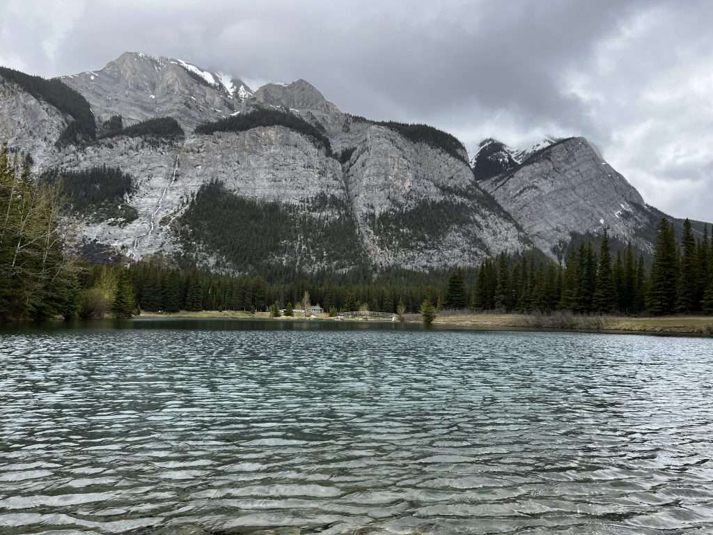 Waterfowl Lake