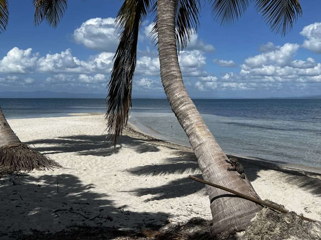 Playa en Cayo Iguana