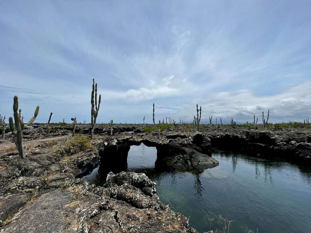 Los Túneles en Isabela