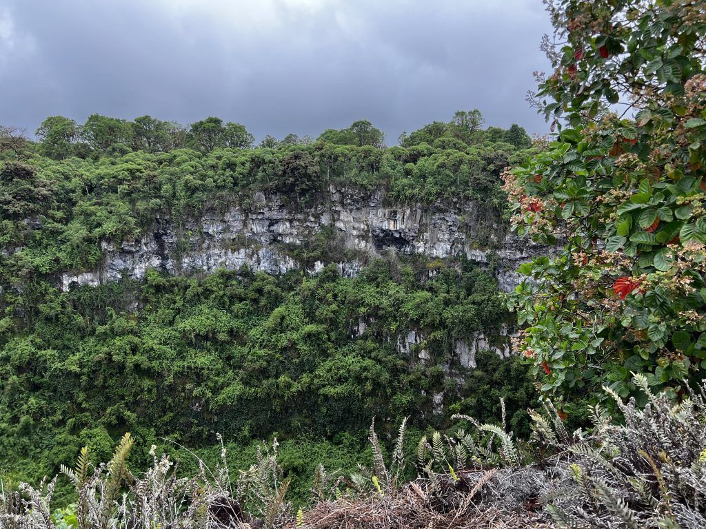 Los Gemelos en Santa Cruz Galápagos