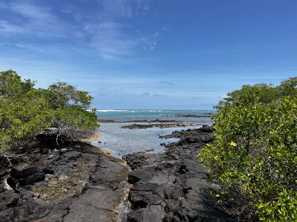 Isla Isabela