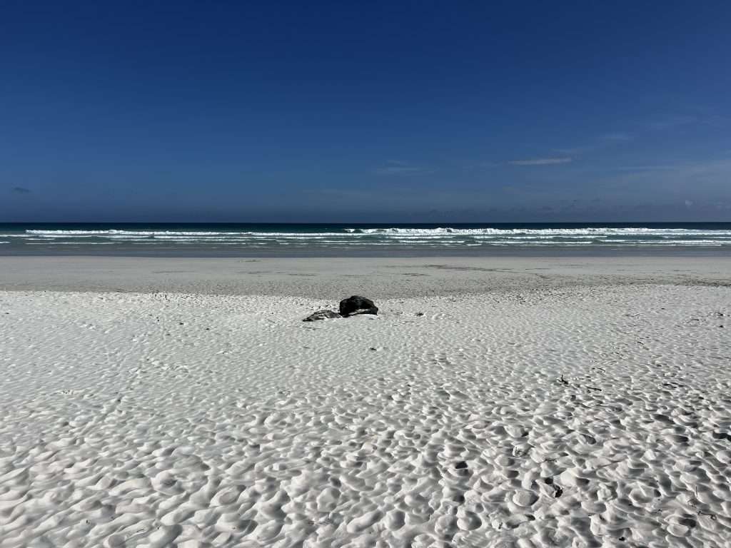 Tortuga Bay