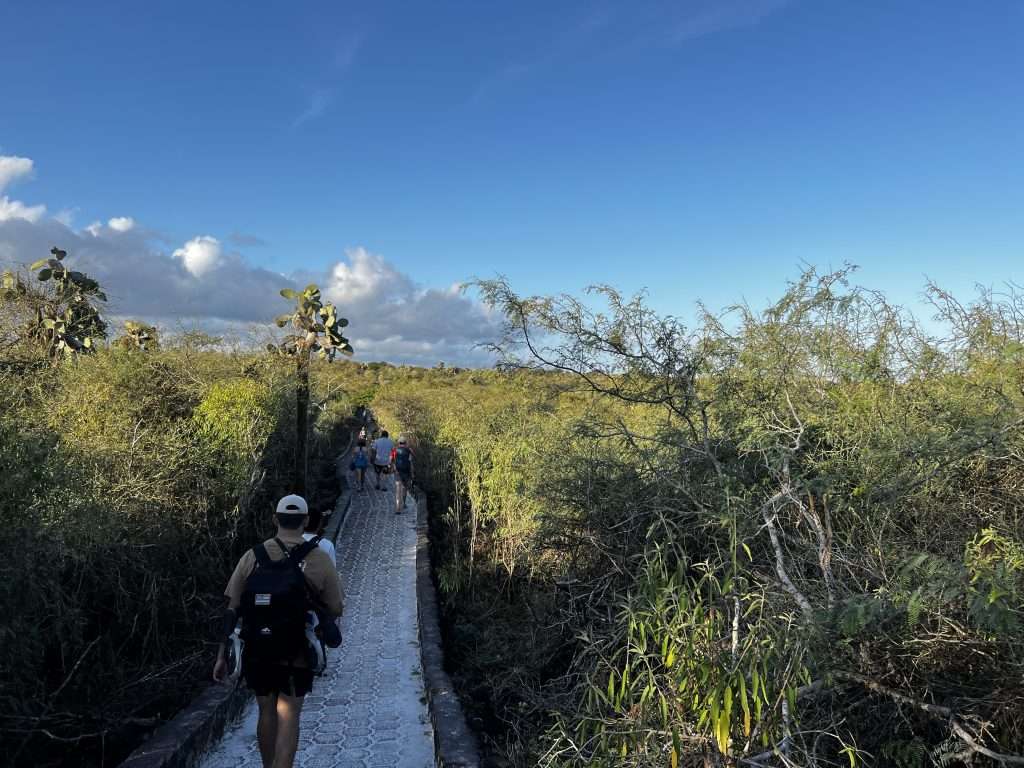 Camino a Tortuga Bay