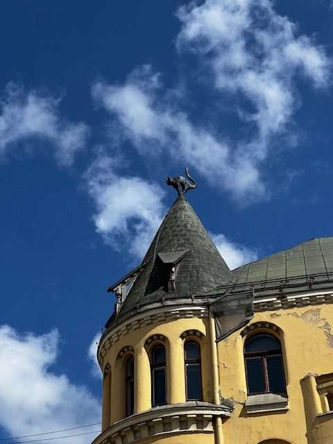 cada del gato riga