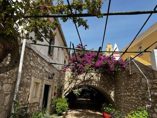 Afionas
