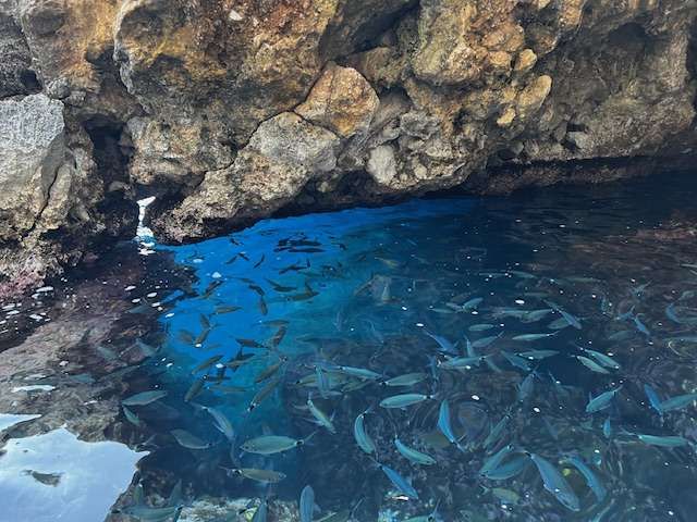Excursión en barco Paleokastritsa
