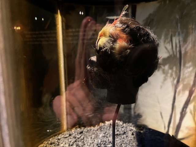 Museo Pumapungo Cuenca