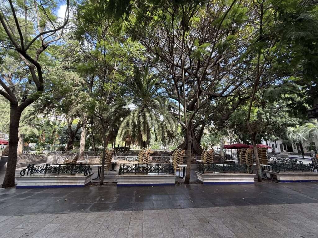 plaza de mina cádiz