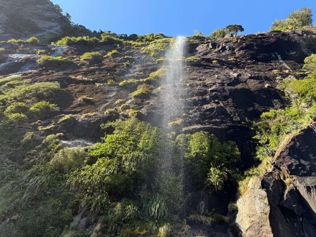 Cascadas Milford Sound