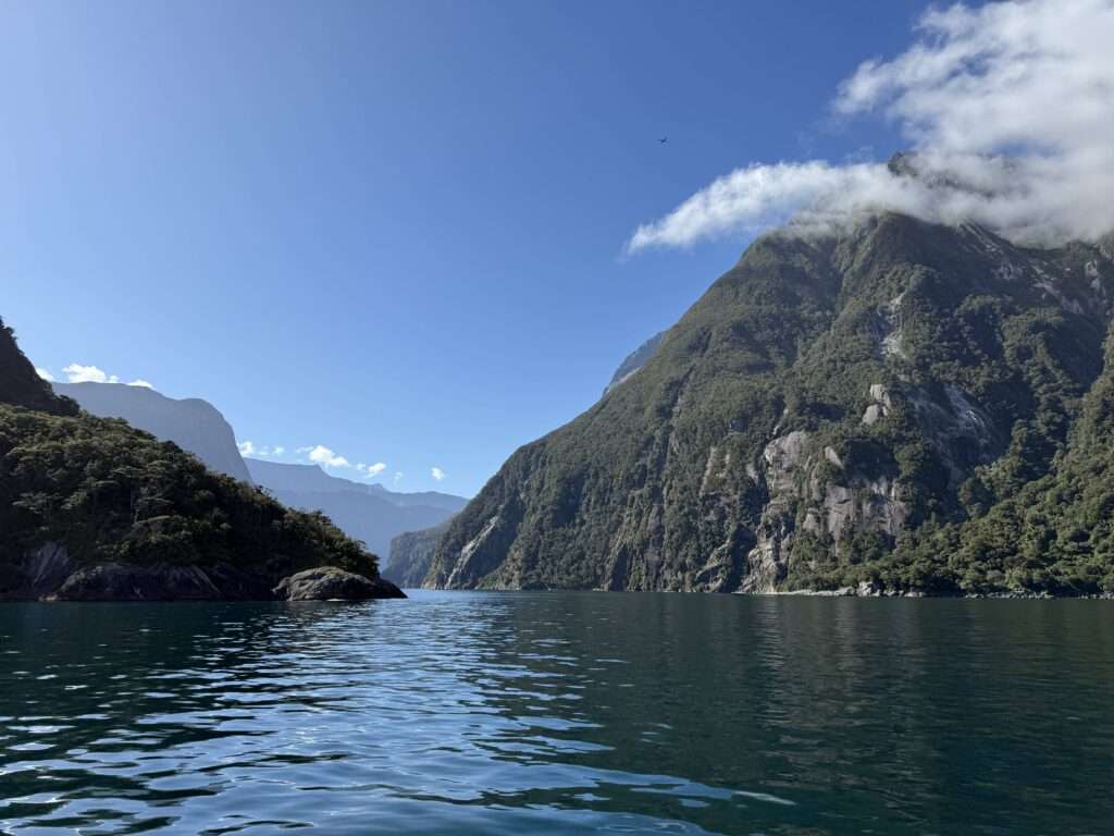 Milford Sound Cruise
