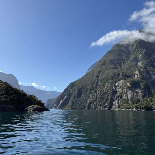 Milford Sound Cruise
