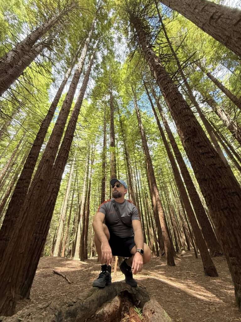 Redwoods de Rotorua