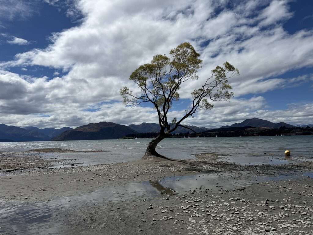 Wanaka