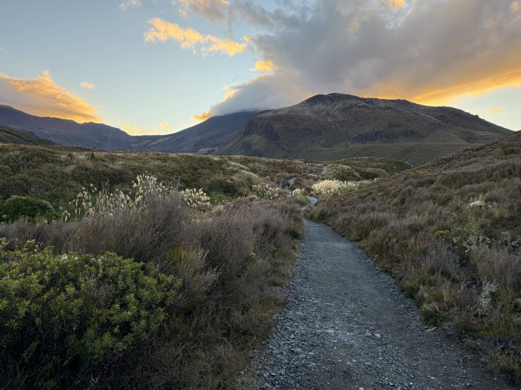 Primeros pasos del Tongariro Alpine Crossing