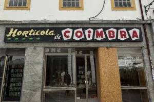 Qué ver en Coimbra en 1 día