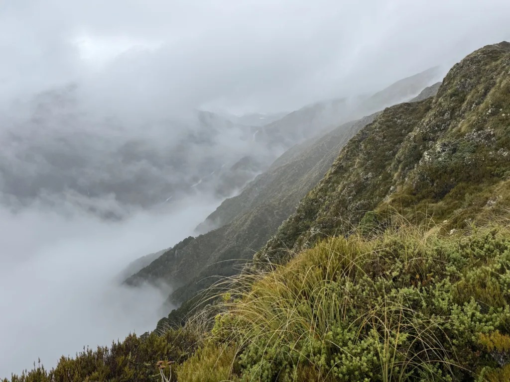 Por encima de la línea de árboles Brewster Hut Track