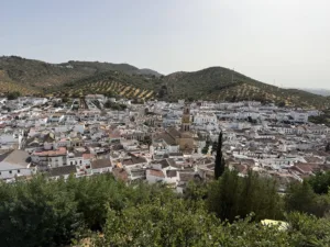 Vistas de Qué ver en Constatina