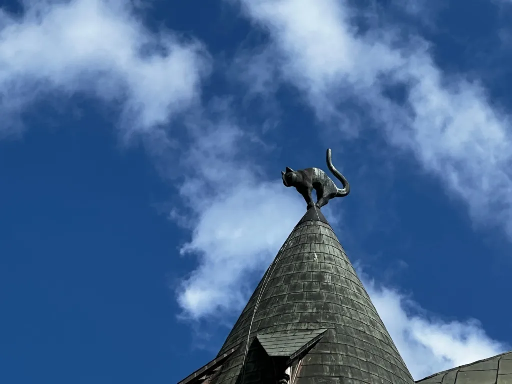 Casa del Gato Riga