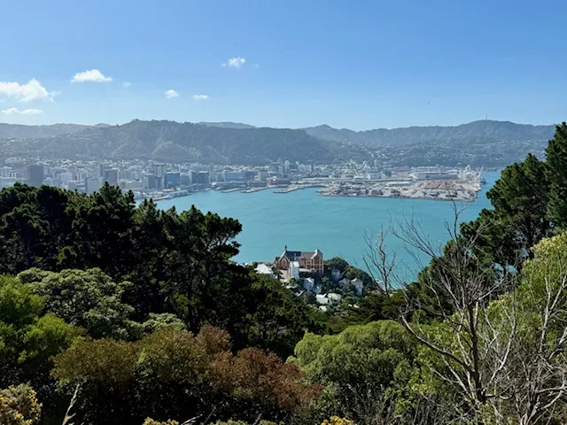Mirador del Mt Victoria