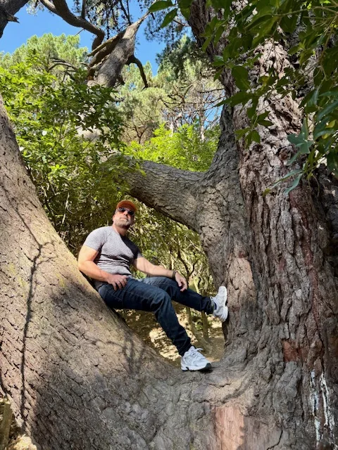 Árbol de leer de Frodo