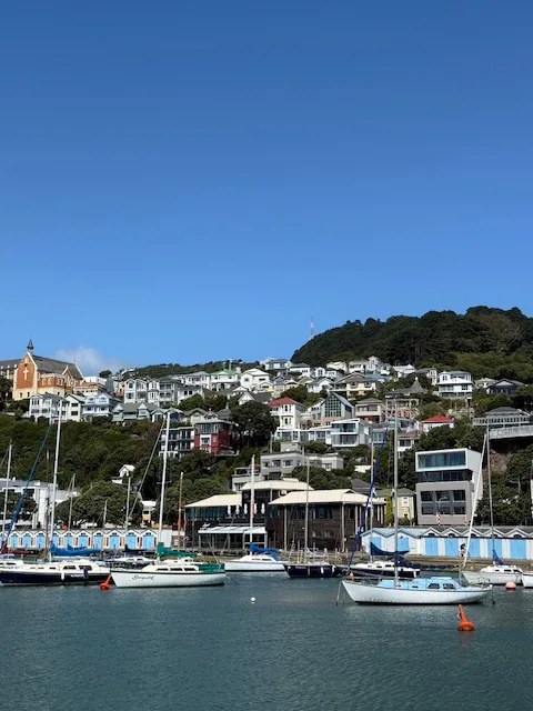 Wellington Qué ver en 2 días