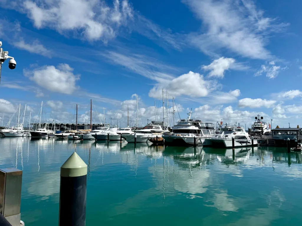 Victoria Harbor Auckland