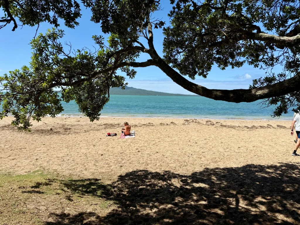Playa de Devonport