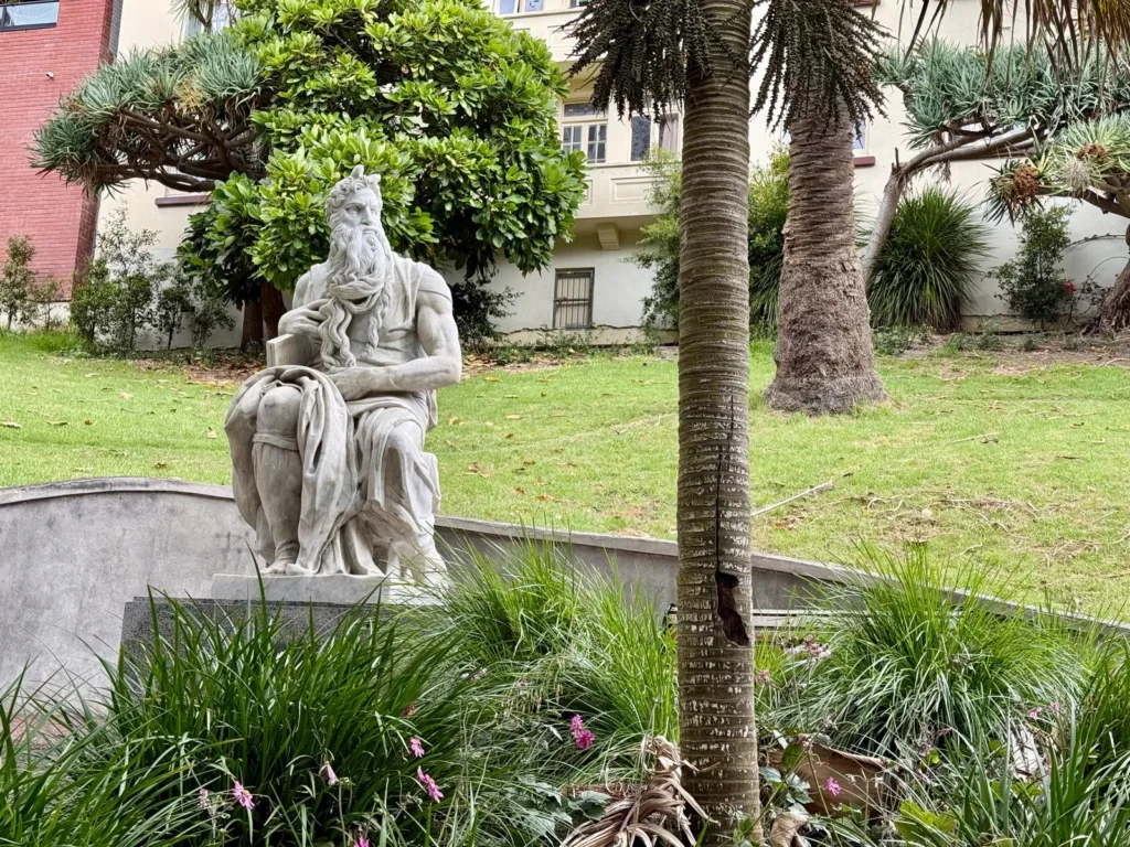 Miguel Ángel en Auckland
